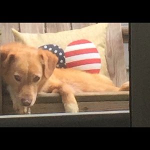 Meet your Posher, Gracie